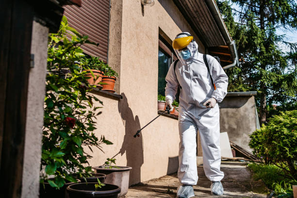 Best Ant Control Services  in Chino Hills, CA