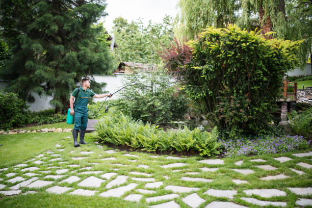 Best Commercial Pest Control Services  in Chino Hills, CA