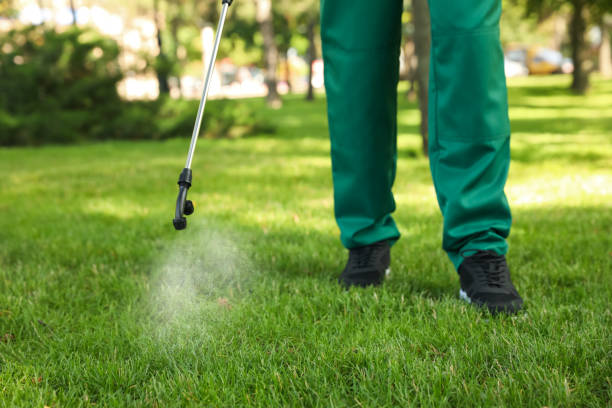 Best Cockroach Control Services  in Chino Hills, CA