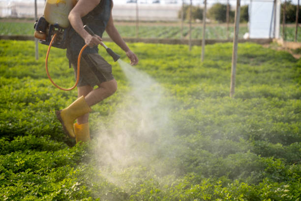 Best Pest Removal Services  in Chino Hills, CA