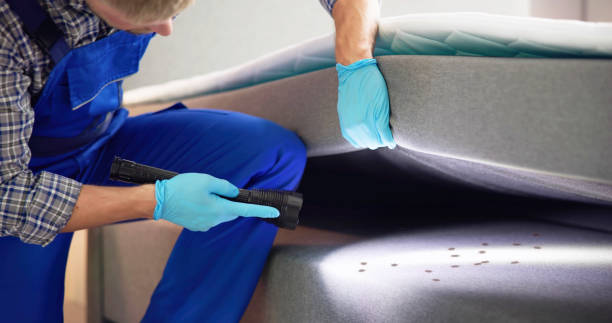 Best Pest Control for Restaurants  in Chino Hills, CA