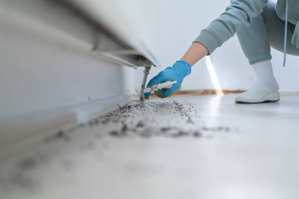 Reliable Chino Hills, CA Pest Control Solutions
